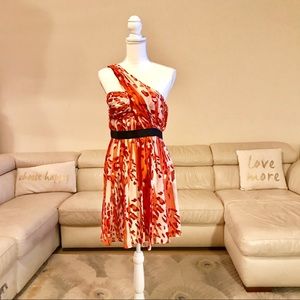 Cynthia Steffe 100% silk dress size 6